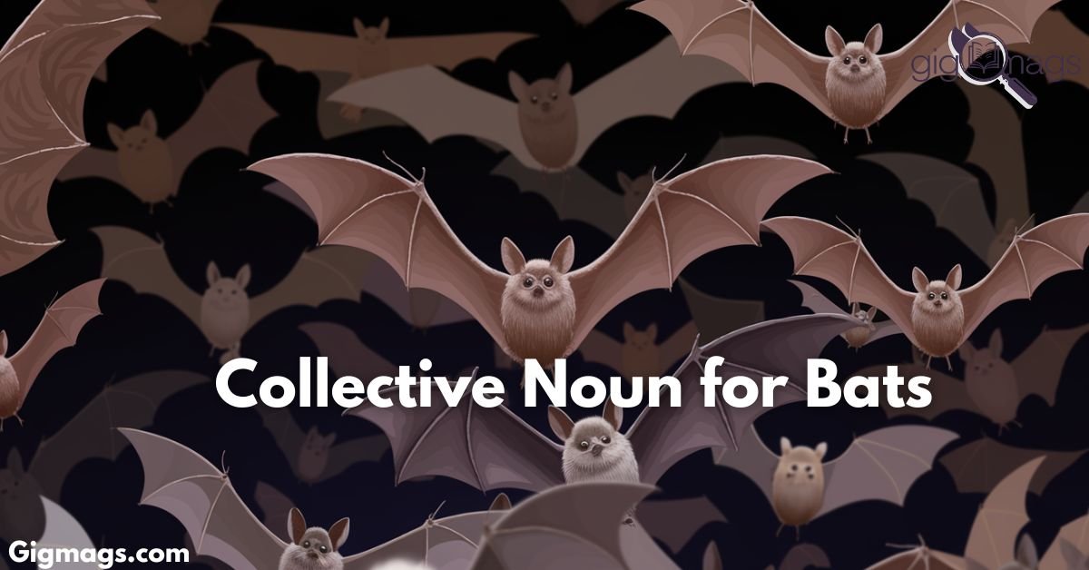 Collective Noun for Bats