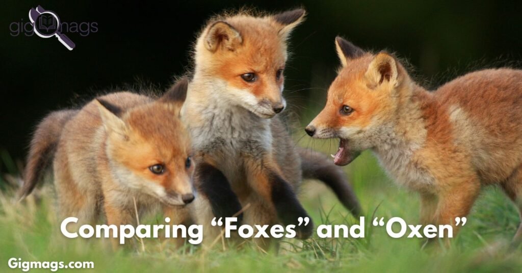 Comparing “Foxes” and “Oxen”