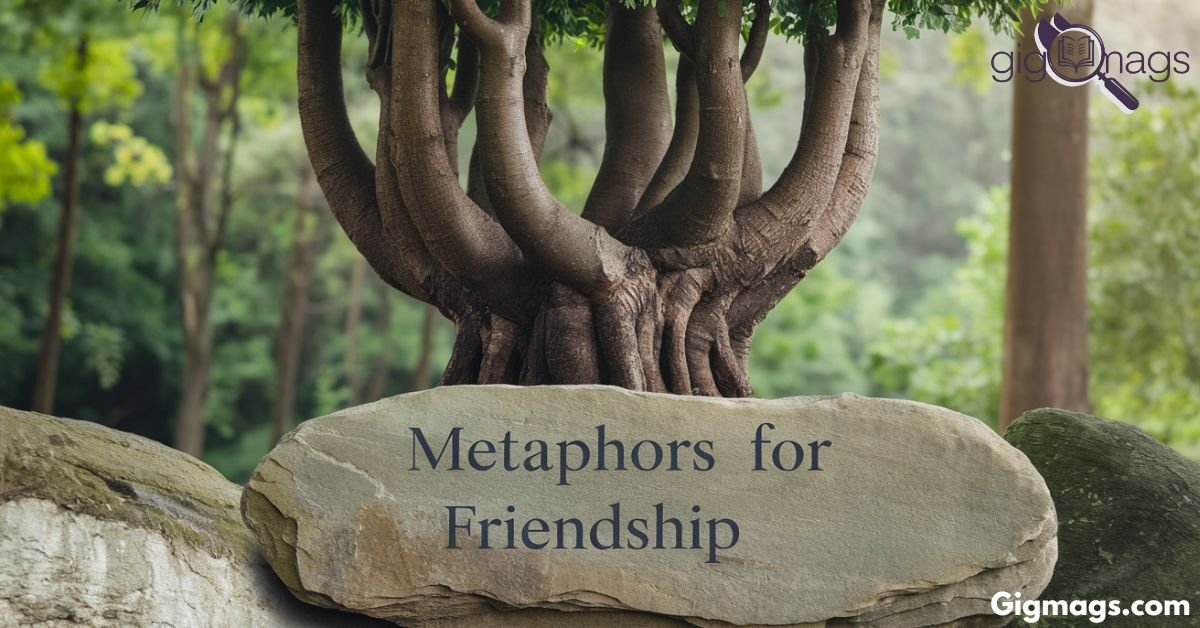 Metaphors for Friendship