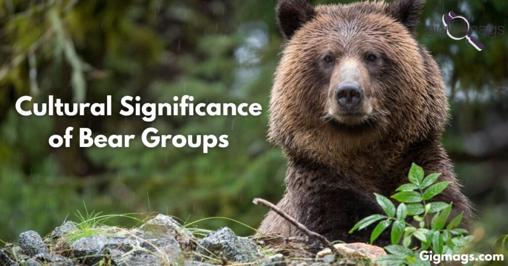 The Cultural Significance of Bear Groups